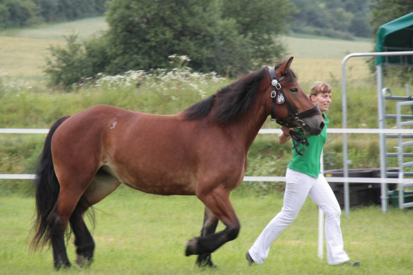 img-131784-Suzi mit Freya-kleiner.jpg